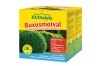 Buxus motten