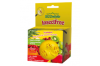Fruitvliegen