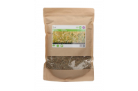 Groenbemesting & rogge