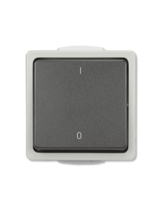 AQUARIUS IP54 SCHAKELAAR 2-PLG GRS