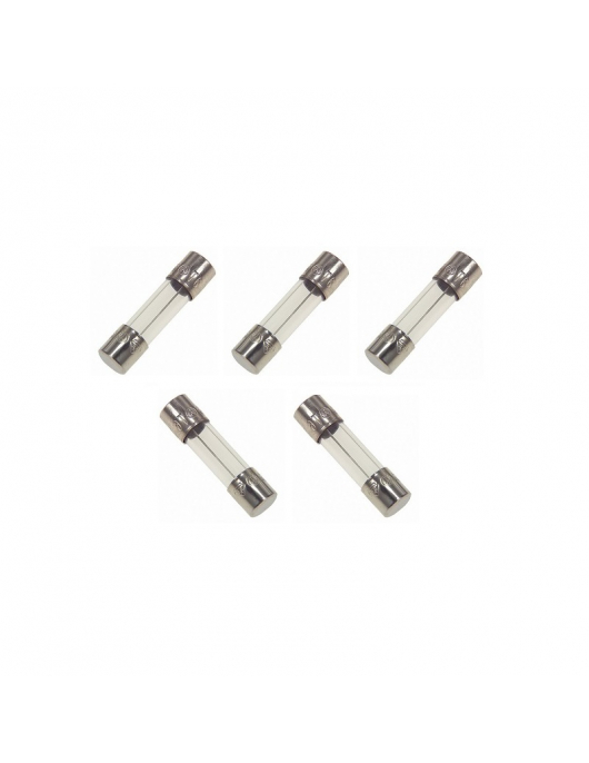5 ST.GLASZEKERING 5X20MM 2,5A SNEL 5 ST.GLASZEKERING 5X20MM 2,5A SNEL