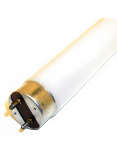 TL-BUIS 36W / 840 TL-BUIS 36W / 840
