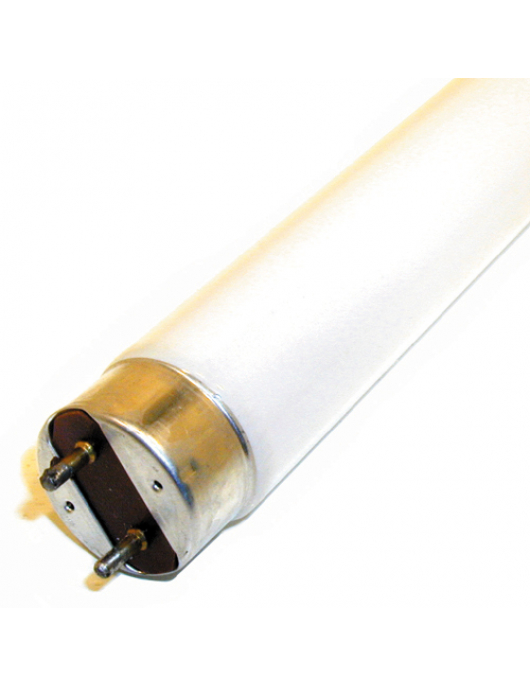 TL-BUIS 58W / 840
