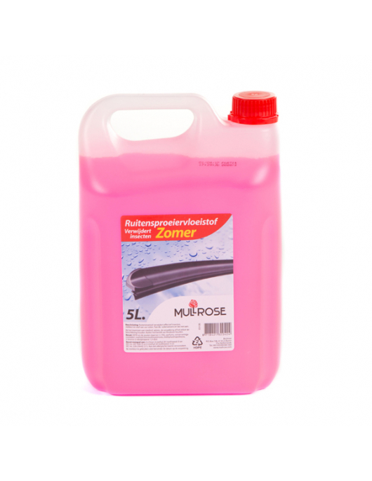 RUITENSPROEIER ANTI INSECT -ZOMER á 5 LITER