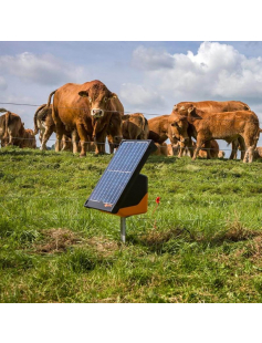 S200 INCL. BATTERIJEN