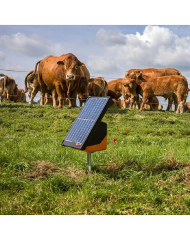 S200 INCL. BATTERIJEN