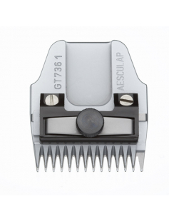 SCHEERKOP FAVORITA 1MM TERRIERS GROF