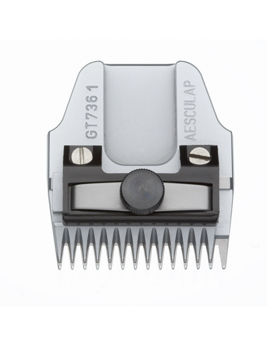 SCHEERKOP FAVORITA 1MM TERRIERS GROF