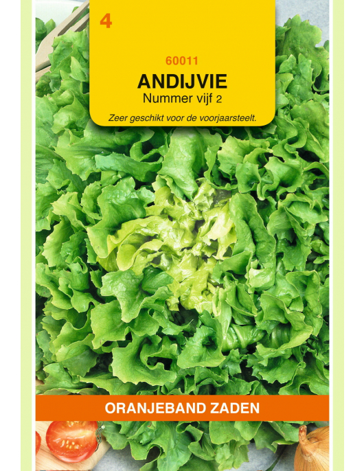 OBZ ANDIJVIE NUMMER VIJF 2