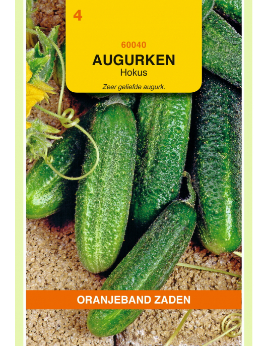 OBZ AUGURKEN HOKUS