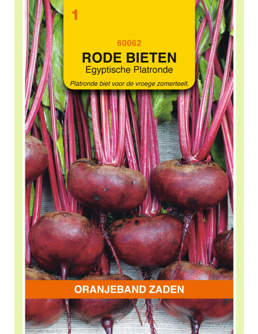 OBZ RODE BIETEN EGYPTISCHE PLATRONDE