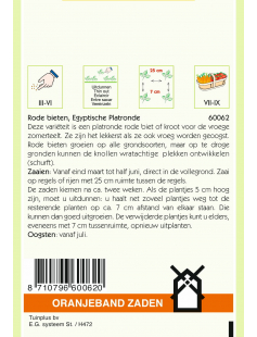 OBZ RODE BIETEN EGYPTISCHE PLATRONDE