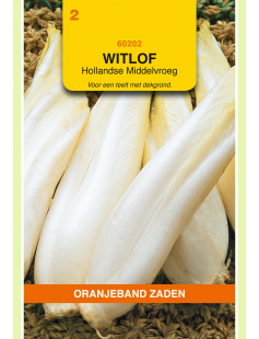 OBZ WITLOF HOLLANDSE MIDDELVROEG