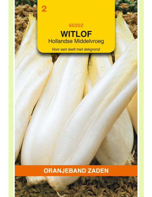 OBZ WITLOF HOLLANDSE MIDDELVROEG