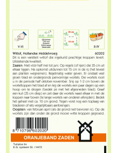 OBZ WITLOF HOLLANDSE MIDDELVROEG