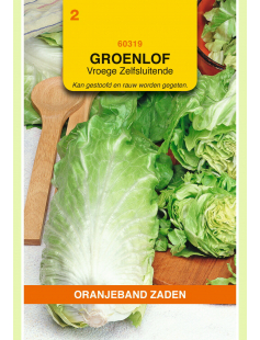 OBZ GROENLOF VROEGE ZELFSLUITENDE