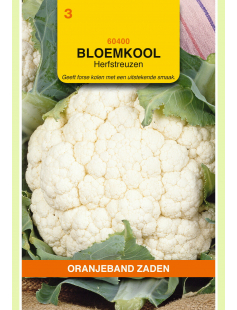 OBZ BLOEMKOOL HERFSTREUZEN 2