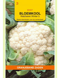 OBZ BLOEMKOOL WALCHEREN WINTER 5