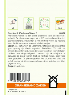 OBZ BLOEMKOOL WALCHEREN WINTER 5