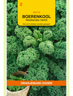 OBZ BOERENKOOL WESTLANDSE HERFST (LAAT TYPE)