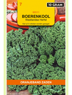 OBZ BOERENKOOL WESTLANDSE HERFST (LAAT TYPE), 10G