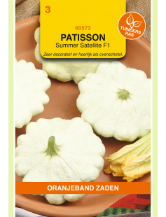 OBZ PATISSON CUSTARD WHITE (VH SUMMER SATELLITE F1)