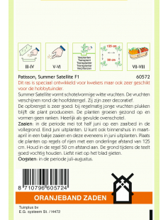 OBZ PATISSON CUSTARD WHITE (VH SUMMER SATELLITE F1)