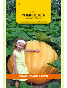 OBZ POMPOENEN ATLANTIC GIANT