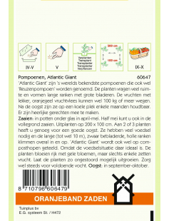 OBZ POMPOENEN ATLANTIC GIANT