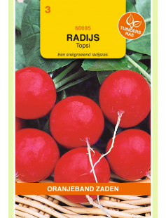 OBZ RADIJS TOPSI