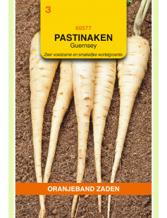 OBZ PASTINAAK GUERNSEY