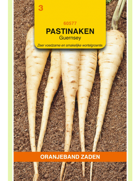 OBZ PASTINAAK GUERNSEY