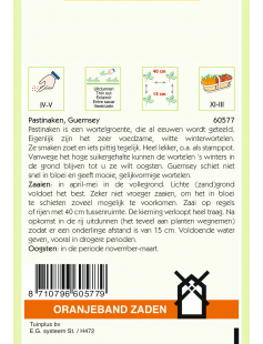 OBZ PASTINAAK GUERNSEY