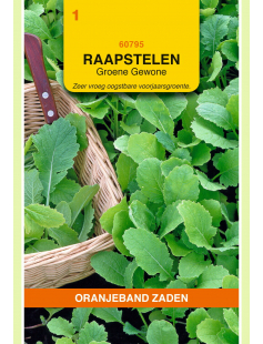 OBZ RAAPSTELEN GROENE GEWONE