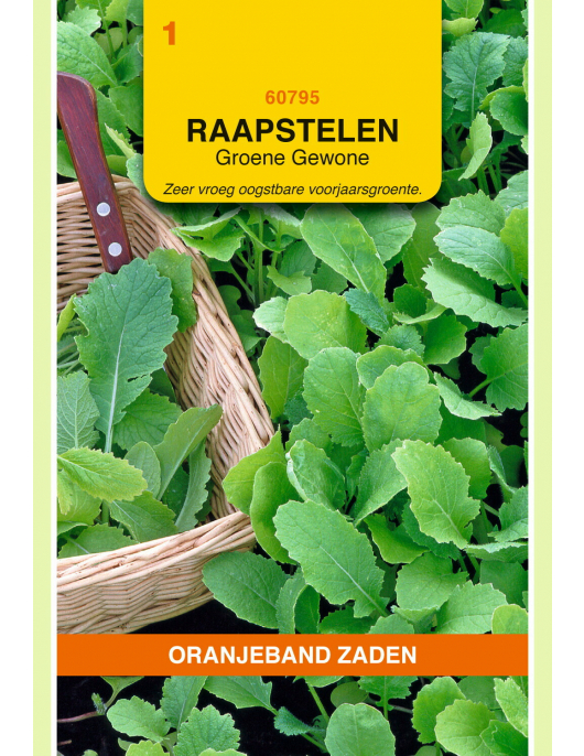 OBZ RAAPSTELEN GROENE GEWONE