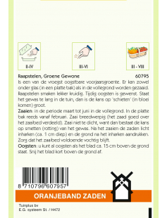 OBZ RAAPSTELEN GROENE GEWONE