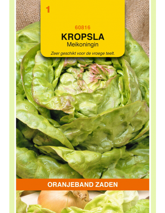 OBZ KROPSLA MEIKONINGIN