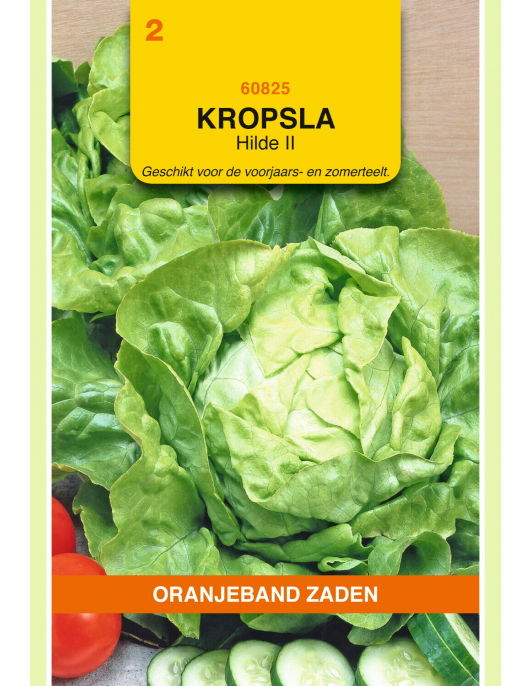 OBZ KROPSLA HILDE II