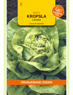 OBZ KROPSLA LARISSA - KASSLA-