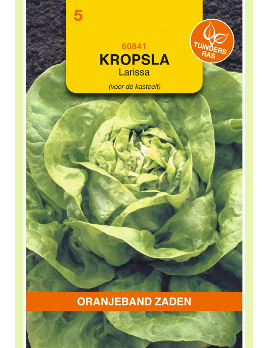 OBZ KROPSLA LARISSA - KASSLA-