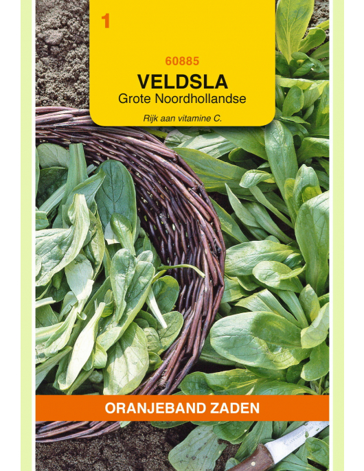 OBZ VELDSLA GROTE NOORDHOLLANDSE