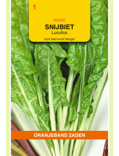 OBZ SNIJBIET LUCULLUS