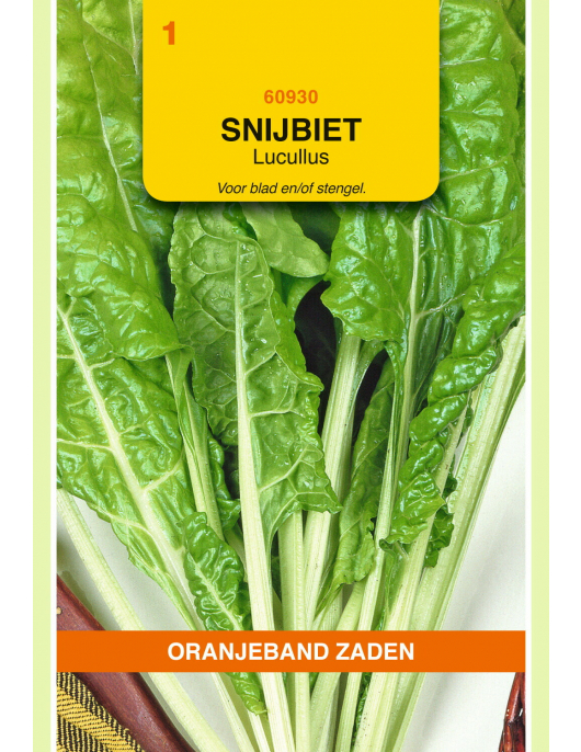 OBZ SNIJBIET LUCULLUS