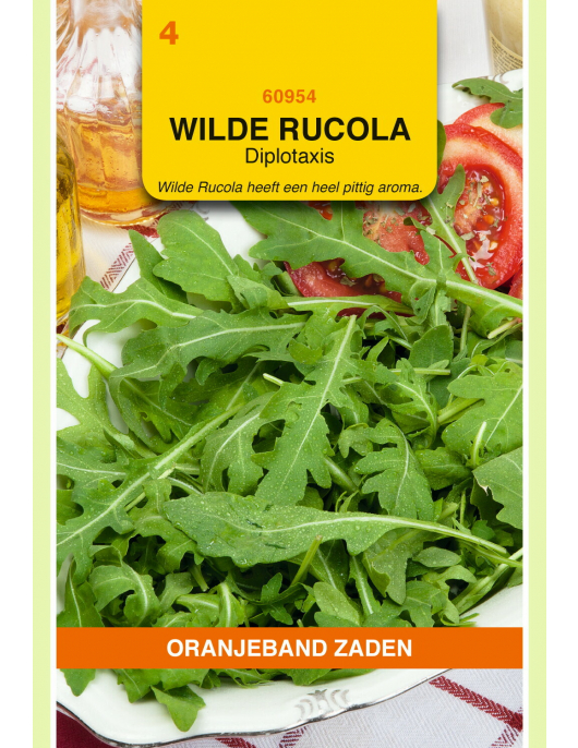 OBZ WILDE RUCOLA - DIPLOTAXIS