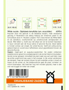 OBZ WILDE RUCOLA - DIPLOTAXIS