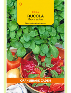 OBZ RUCOLA GEWONE