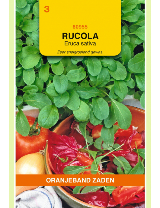 OBZ RUCOLA GEWONE