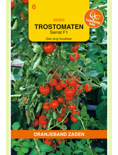 OBZ TOMATEN SERRAT F1