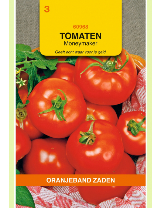 OBZ TOMATEN MONEYMAKER