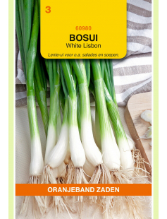 OBZ BOSUI WHITE LISBON